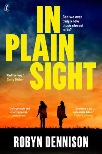 In Plain Sight Book Cover