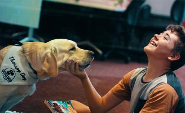 Image: boy with working dog laughing