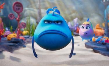 Pout Pout Fish