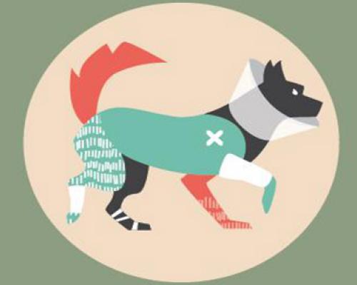 Information Session: First Aid for Pets