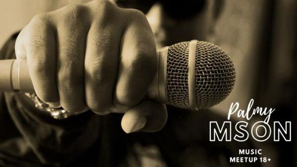 Palmy MSON Music Meetup 18+